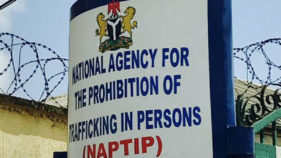 Akwa Ibom: 1,444 human trafficking victims rescued within one year -NAPTIP