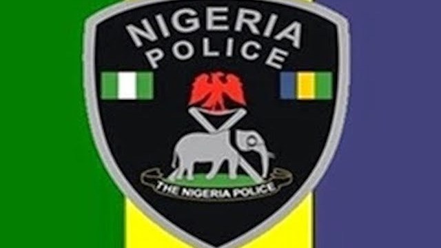 We arrested 46,399 suspects in one year – NPF