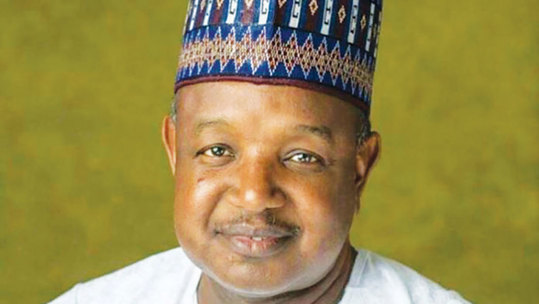 Kebbi allocates 200 hectares for 5,600MW solar power project