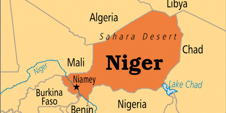 Opposition leader in Niger freed under COVID-19 prison release