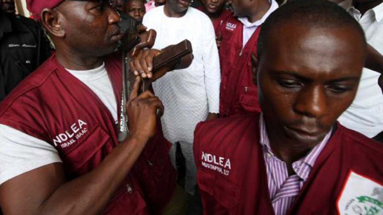 NDLEA 3,413,463kg of illicit drugs in 2020