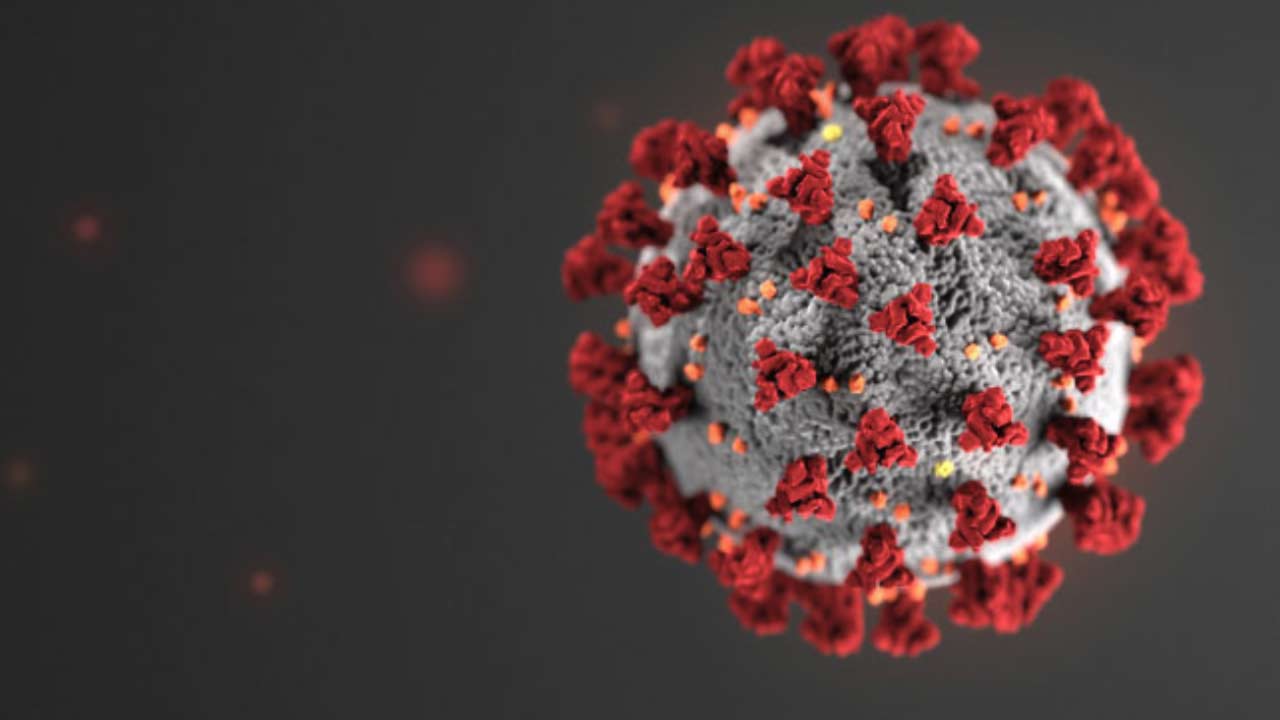 WHO says virus ‘catastrophic’ for cancer care in Europe
