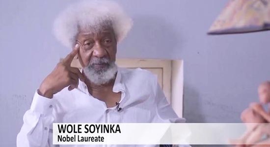 My Property Was Actually Encroached On By Cattle, Police Lied — Soyinka