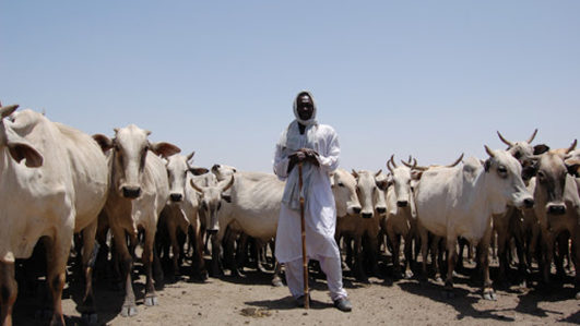 Don't use self-help on herders, farmers’ clashes, Yakasai warns