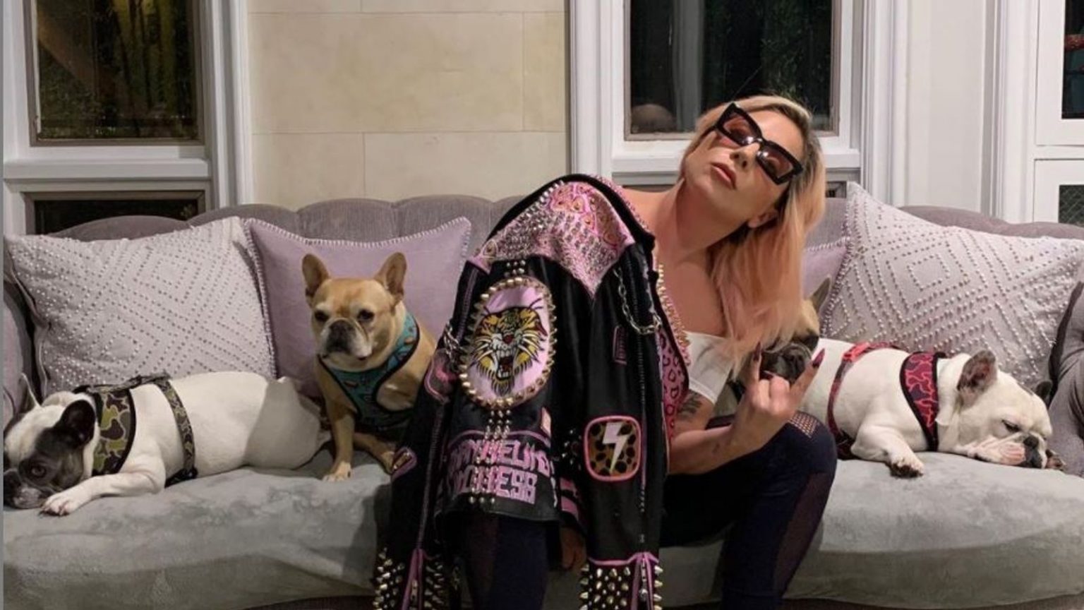 Lady Gaga’s Dogs Recovered Freshly Unharmed After Armed Robbery