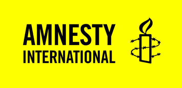 Callamard named new Amnesty International chief