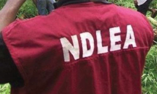 NDLEA Finds Cocaine, Heroin In Community Palace Of Traditional Ruler In Anambra