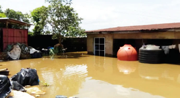 Bauch Gov blames his administration as flood ravages 100 houses