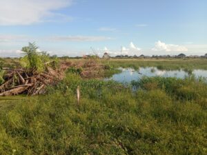 Family accuse Lagos Govt of forceful acquisition of ancestral land