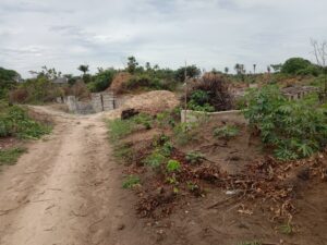 Land Trespass: Former Ogun Deputy Governor Adesegun sues NDIC, others