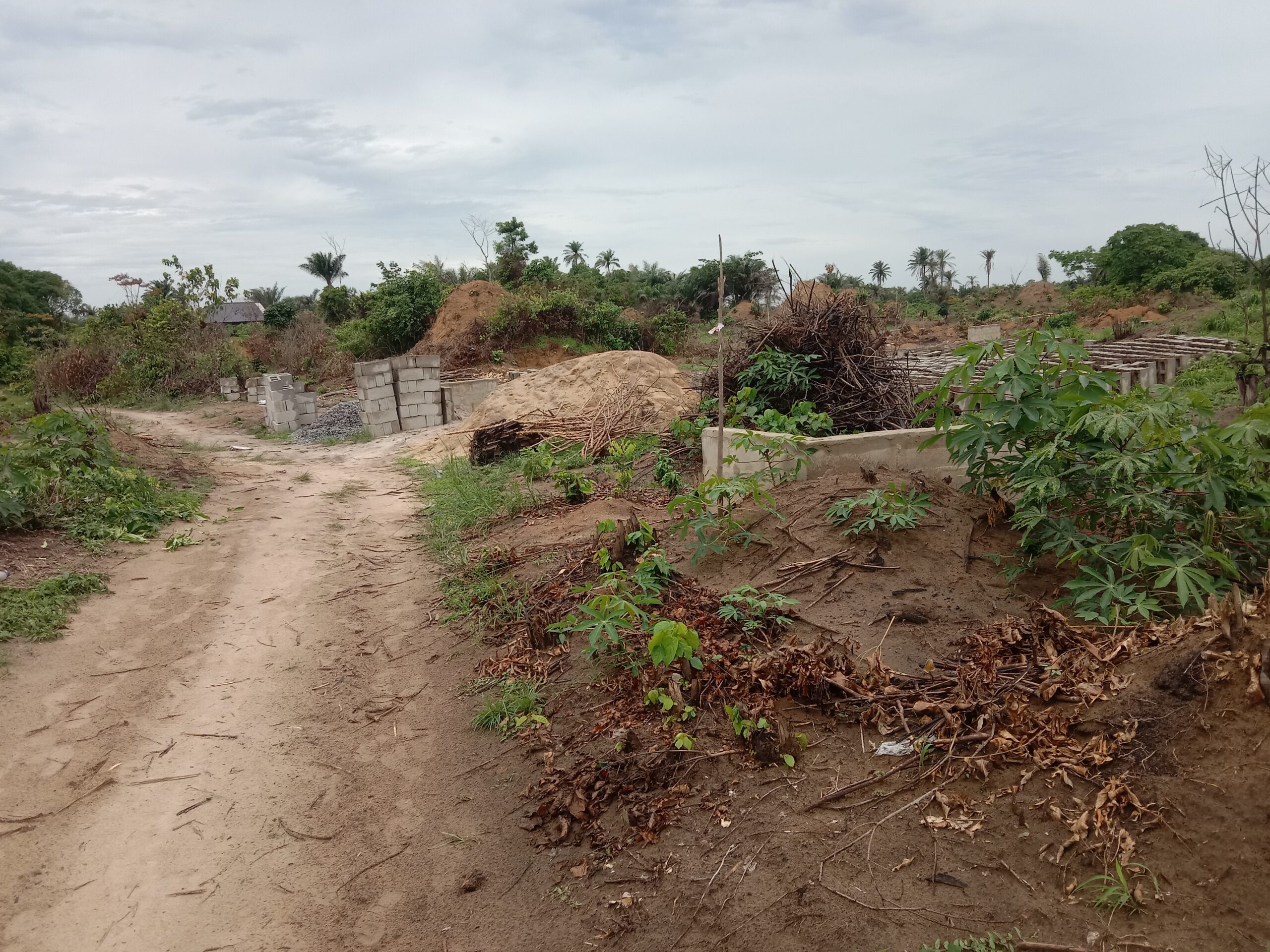 Land dispute: Arson, abductions engulf Benue communities