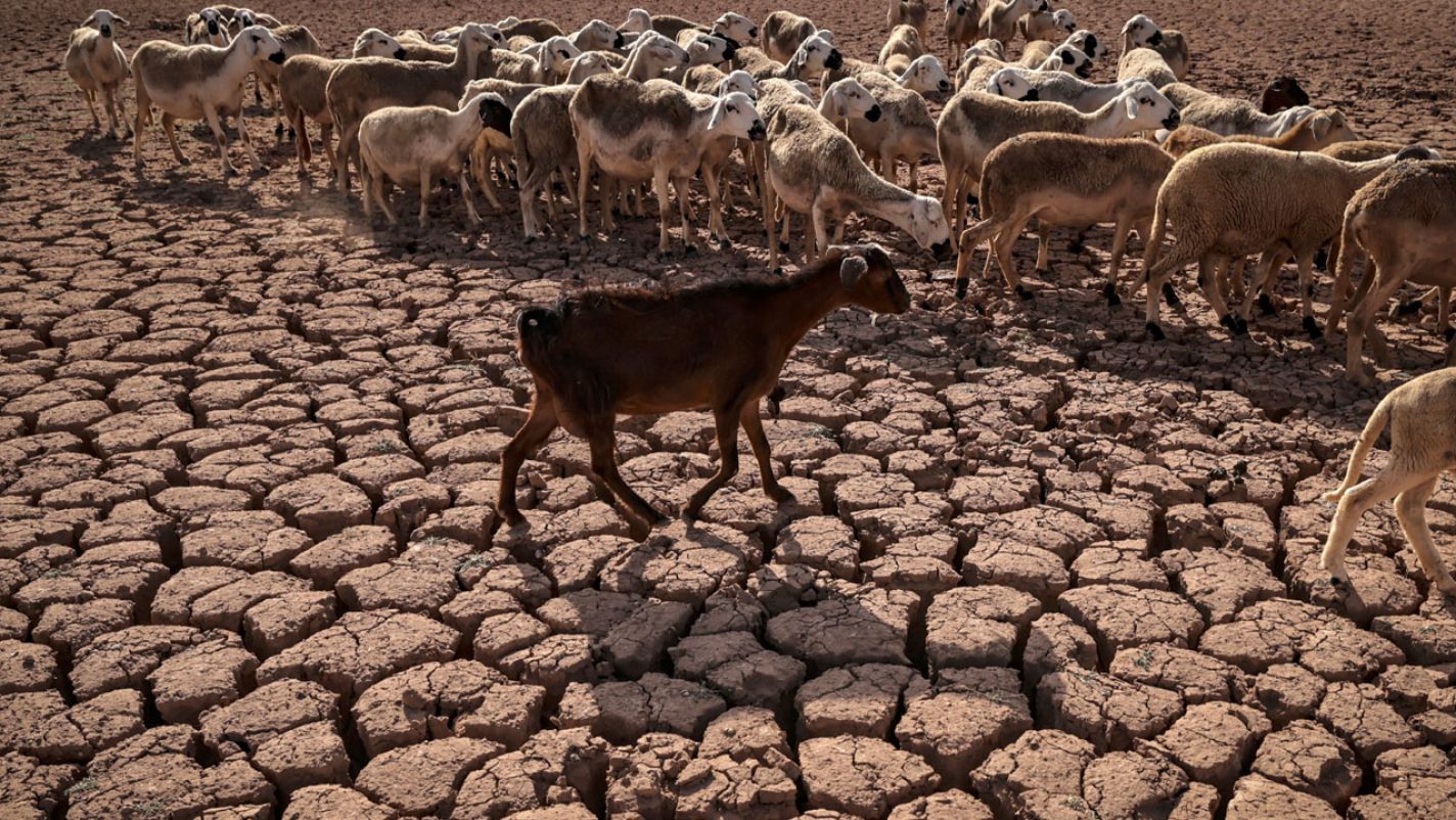 Climate change across Africa can destabilise countries, entire regions, says WMO