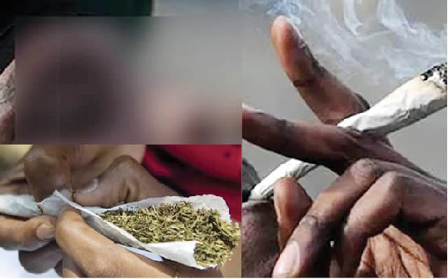 Hemp: Voice ordered me to stab victims – Artisan