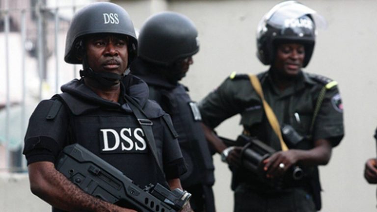 Protest: DSS warns against threat to country’s peace