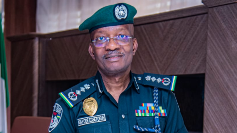 IG has no business with land cases, civil matters — N’Police