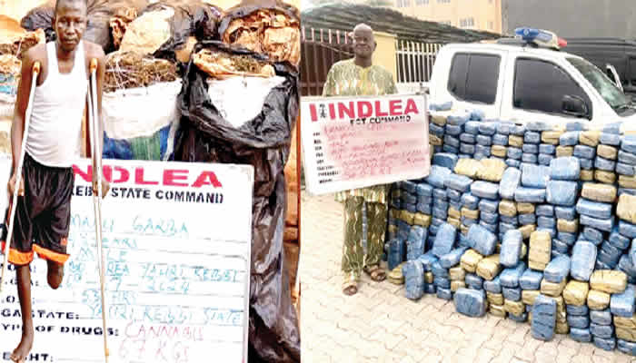 Marginalisation Meets Desperation: The Rise Of Drug TraffickingAmong Disabled, Elderly Nigerians