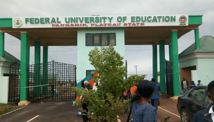 Plateau varsity: Court jails two for forging certificates