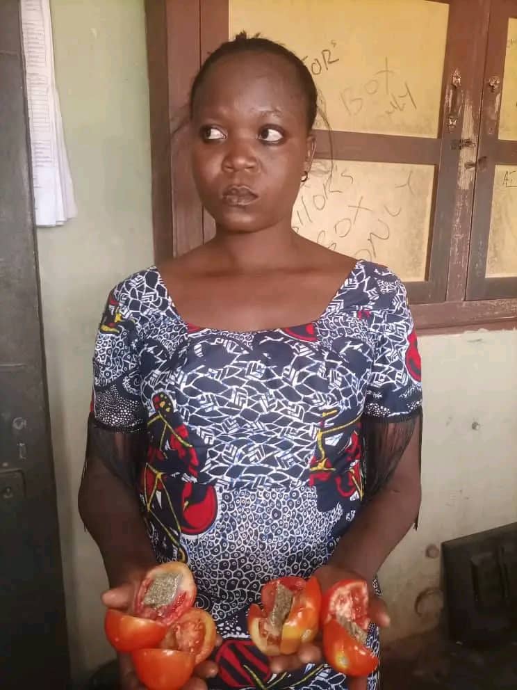NCoS foils drug 'fresh tomatoes' smuggling attempt in Ondo prison