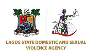 Lagos launches pre-marriage counselling course to curb domestic violence